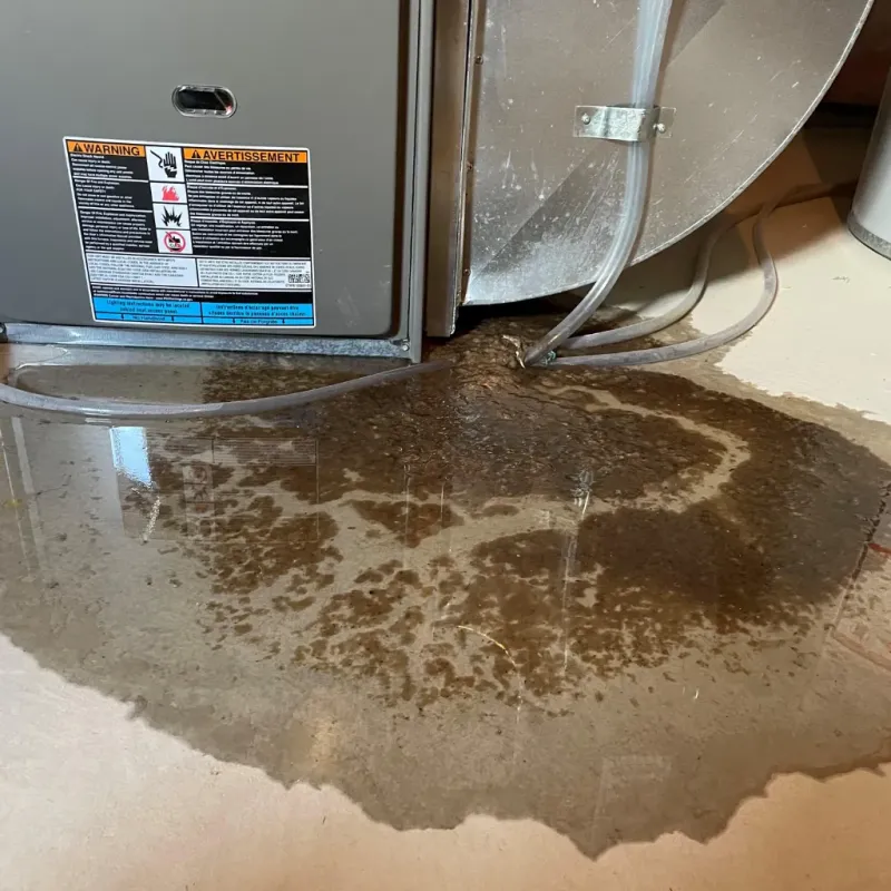 Appliance Leak Cleanup in Carson City, NV